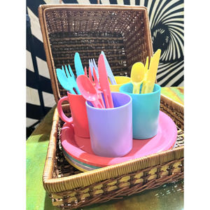 Vintage picnic set